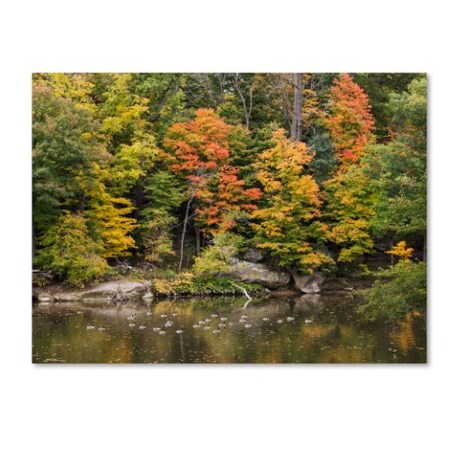 Trademark Fine Art Kurt Shaffer 'Early Fall' Canvas Art, 18x24 KS01031-C1824GG